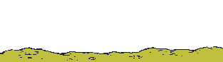 indiani.gif